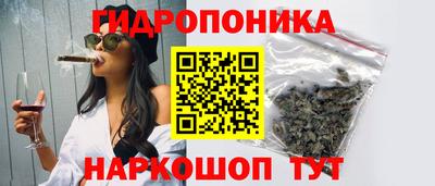 мдпв Пушкино