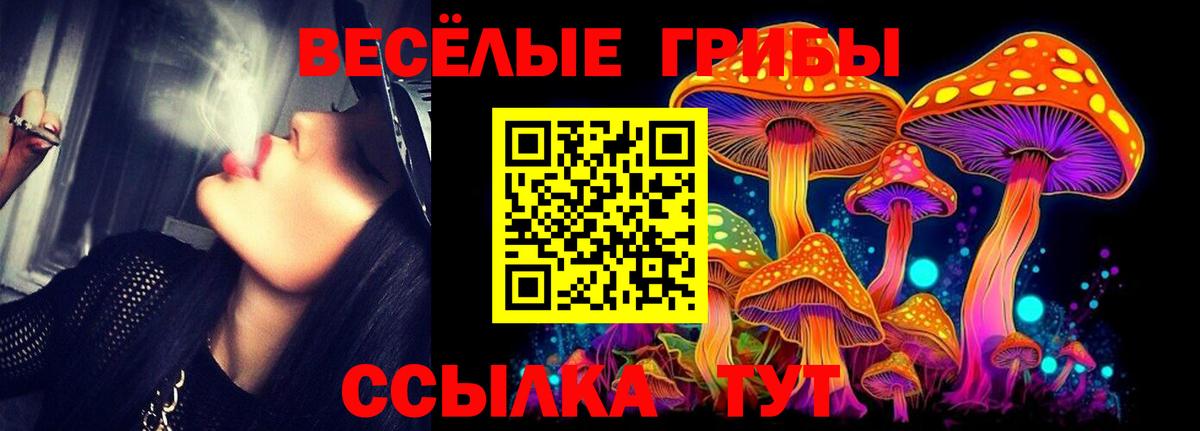 Солнечногорск  Галлюциногенные грибы GOLDEN TEACHER  Вход с VPN 